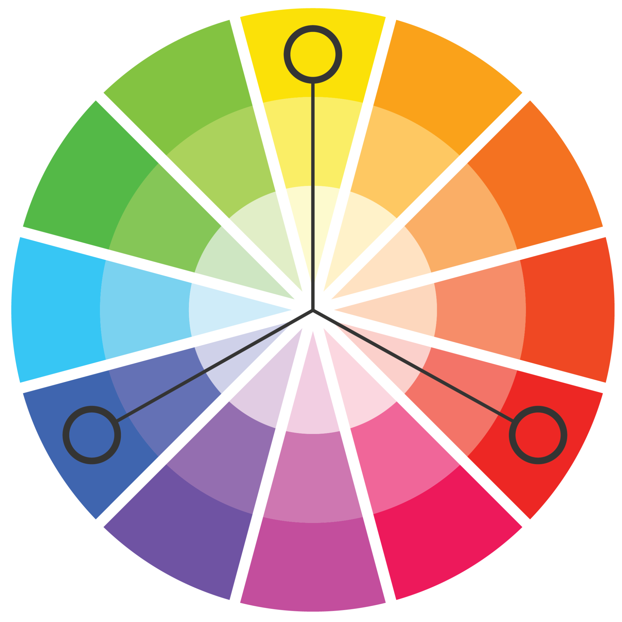 Understanding the Importance & Details of Color - CurlyHost